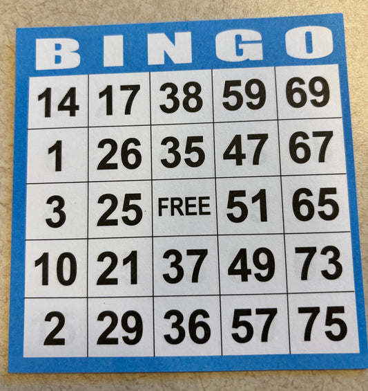 Bingo Card - Reverse